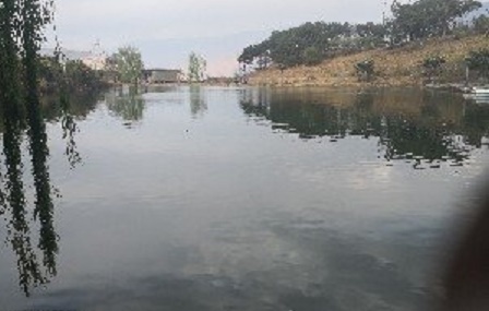 凉山金洞子农家乐