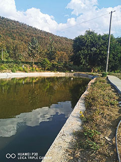 临沧土锅寨寺庙钓鱼场