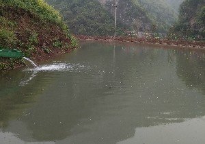 陇南大河钓场