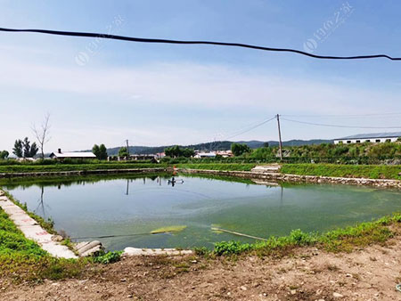 牡丹江战友俱乐部垂钓园