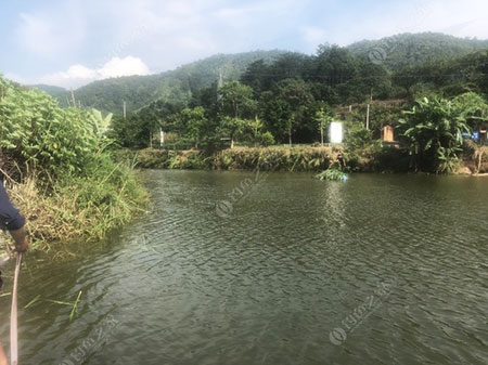 茂名马贵茶亭钓场