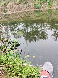 眉山岷江