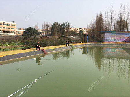 眉山周家阁钓场