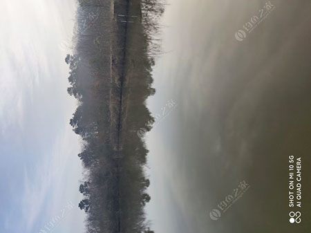 南京子木休闲钓场
