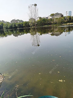 南京九乡河西流段