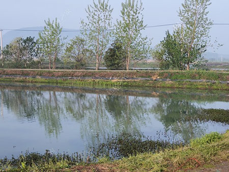 南京五湖四海家庭农场