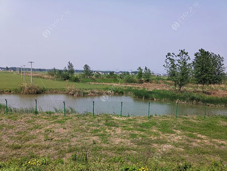 南京池杉湖湿地公园滁河边