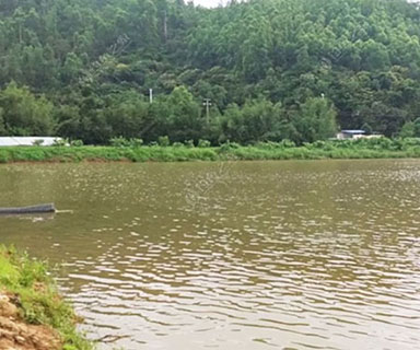 南京南京市浦口区盛唐家庭农场