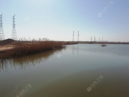 沧州顾官屯水库