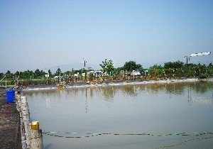宁波兴武家庭农场