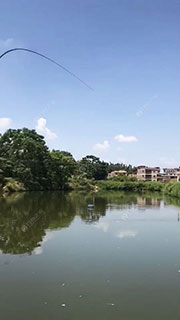 南宁蒲庙仲龙新坡钓场