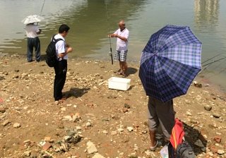 南宁邕江葫芦鼎大桥