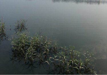 朝阳元宝山水库