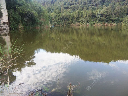 南充鱼皇水库