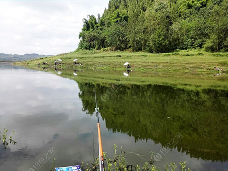 南充冯家坝支河