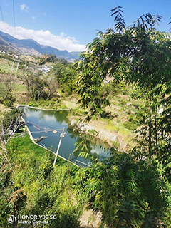 攀枝花分水岭陈家鱼塘