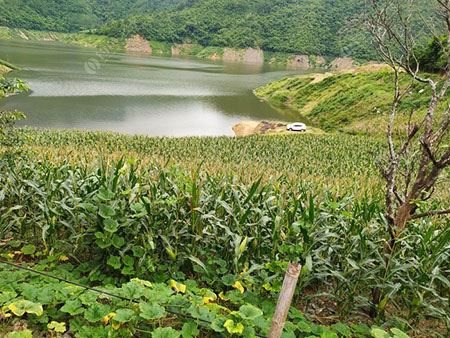 普洱老李钓场