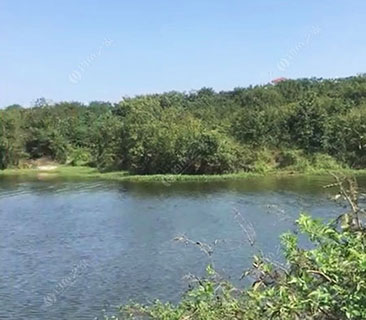 长春老王垂钓园