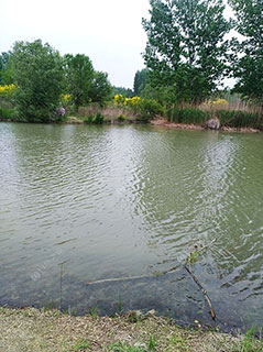 安阳樊庄水库