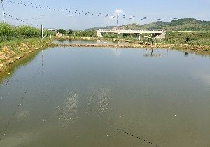 平凉北汭园钓场
