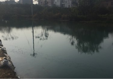 衢州东岸水库