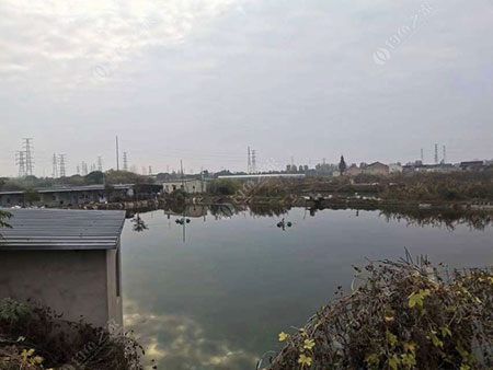常州洛阳鱼之缘农场
