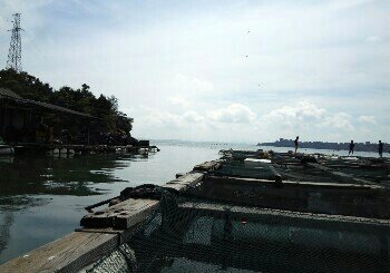 泉州肖厝海钓
