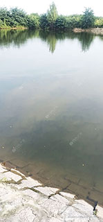 青岛双龙埠垂钓生态园