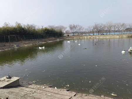 常州沈记垂钓