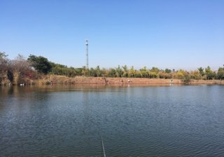 青岛小信村生态钓鱼场