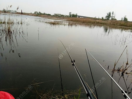 青岛小沽河