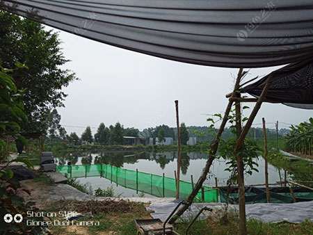 清远大家乐钓鱼钓虾场