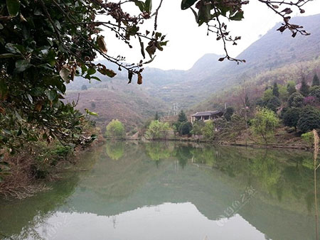 黔东南大湾鱼塘