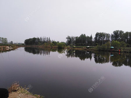 潜江竹根滩千千钓场
