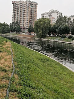 沈阳新开河
