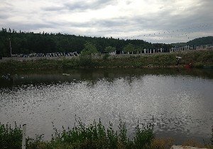 双鸭山孟家鱼场