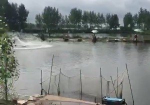 绥化继平钓场