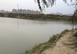 常州运河分叉支流龙游河
