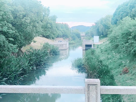 《苏州能免费钓鱼的地方有哪些?苏州哪里可以不花钱野钓?》封面图