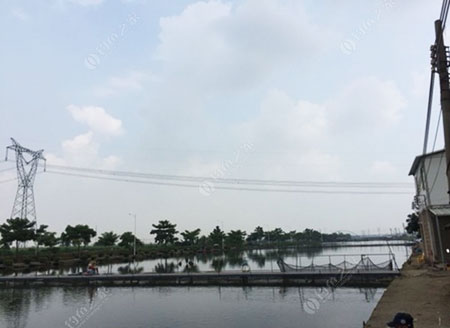 苏州阳澄湖农家乐垂钓中心