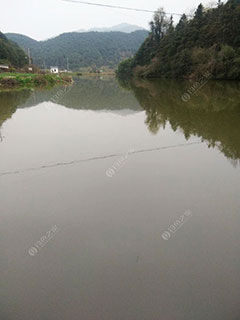 绍兴红一塘钓场