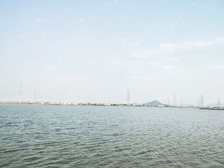 绍兴雷场河