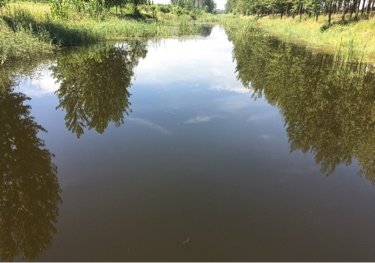 宿州顺堤河