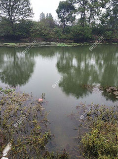上饶乔麦冲水库