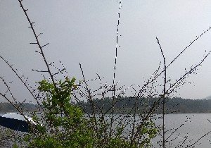 滁州牯牛塘水库