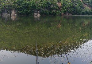 三门峡洛河