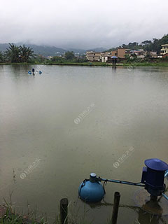 韶关路胜曹溪大物钓场