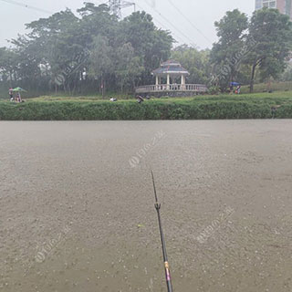 深圳观澜河
