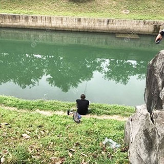 深圳福田河