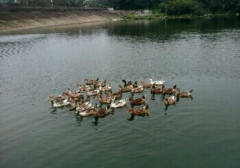 深圳龙子尾水库